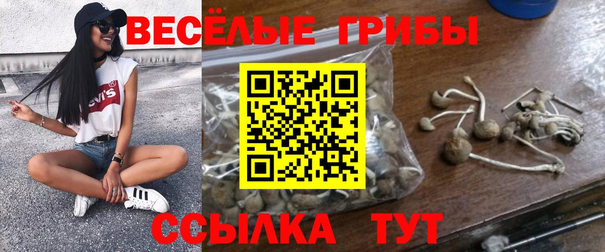 Новочебоксарск  Галлюциногенные грибы мицелий  Вход с VPN 